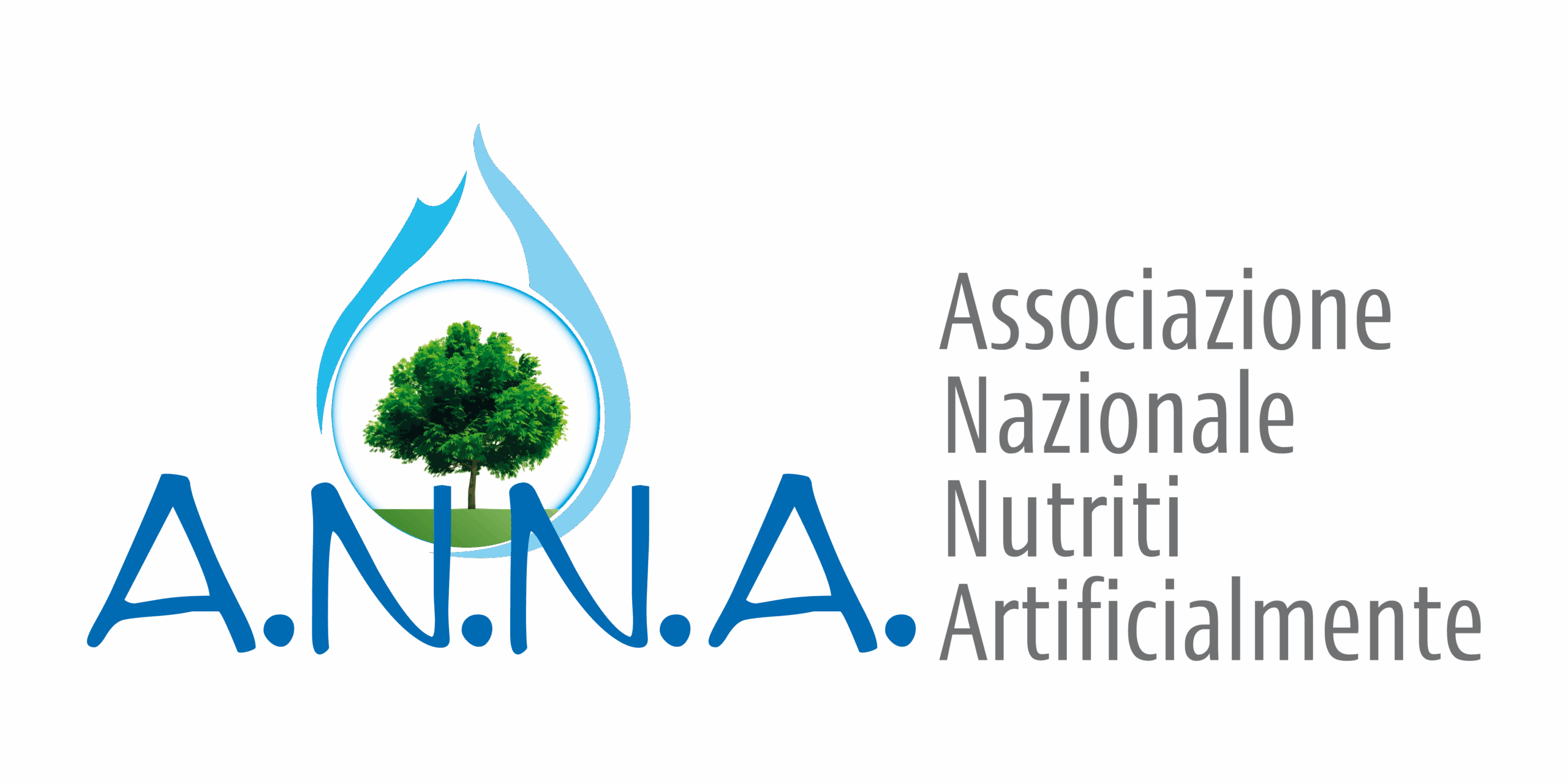 LOGO ANNA 2020 scritta di lato